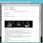 This is an auto-generated PDF report of the previous abdominal ultrasound report. This can be emailed to the client (in a simple click), saved to a chosen location, or else used like any other PDF